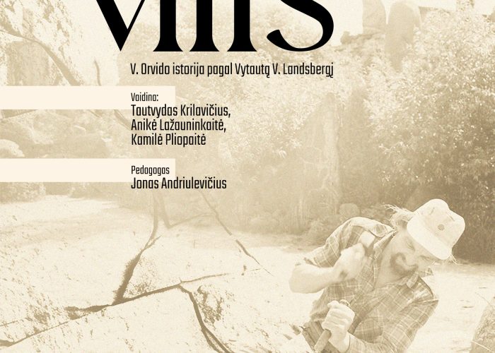 Kaišiadorių kultūros centro mėgėjų teatro jaunimo studijos spektaklis „Vilis”