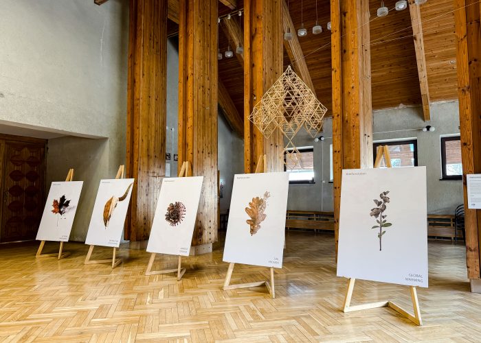 Rumšiškių kultūros centre išeksponuota Deimantės Malūnavičiūtės plakatų serija plynų kirtimų miškuose žalai parodyti